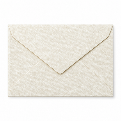 Custom Lined Envelope