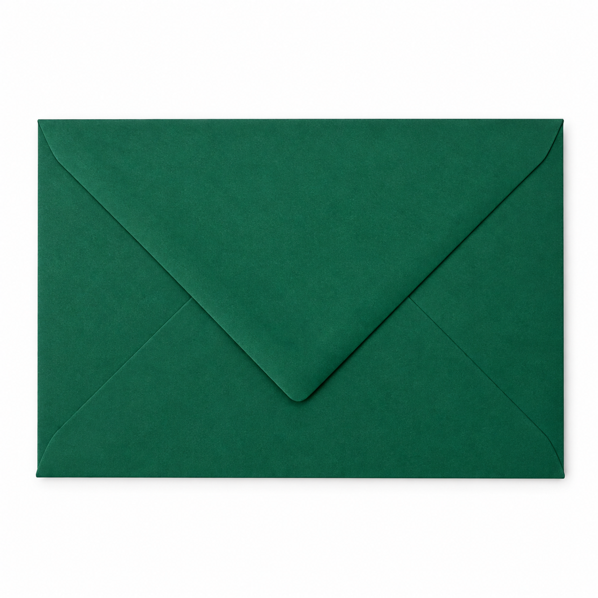 Custom Lined Envelope