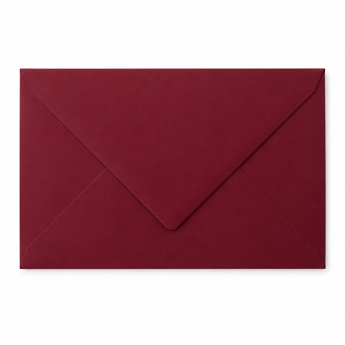 Custom Lined Envelope
