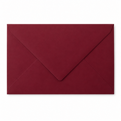 Custom Lined Envelope