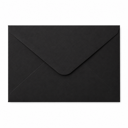 Custom Lined Envelope