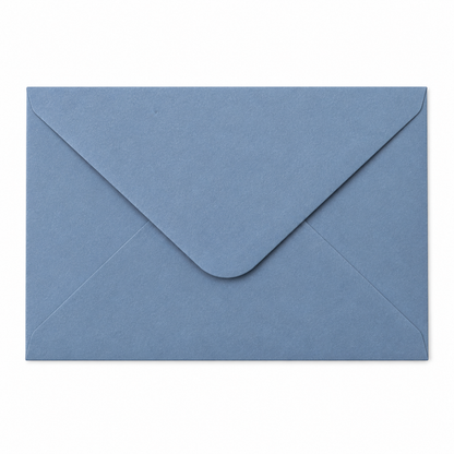 Custom Lined Envelope