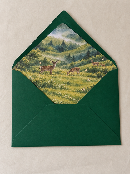 Custom Lined Envelope