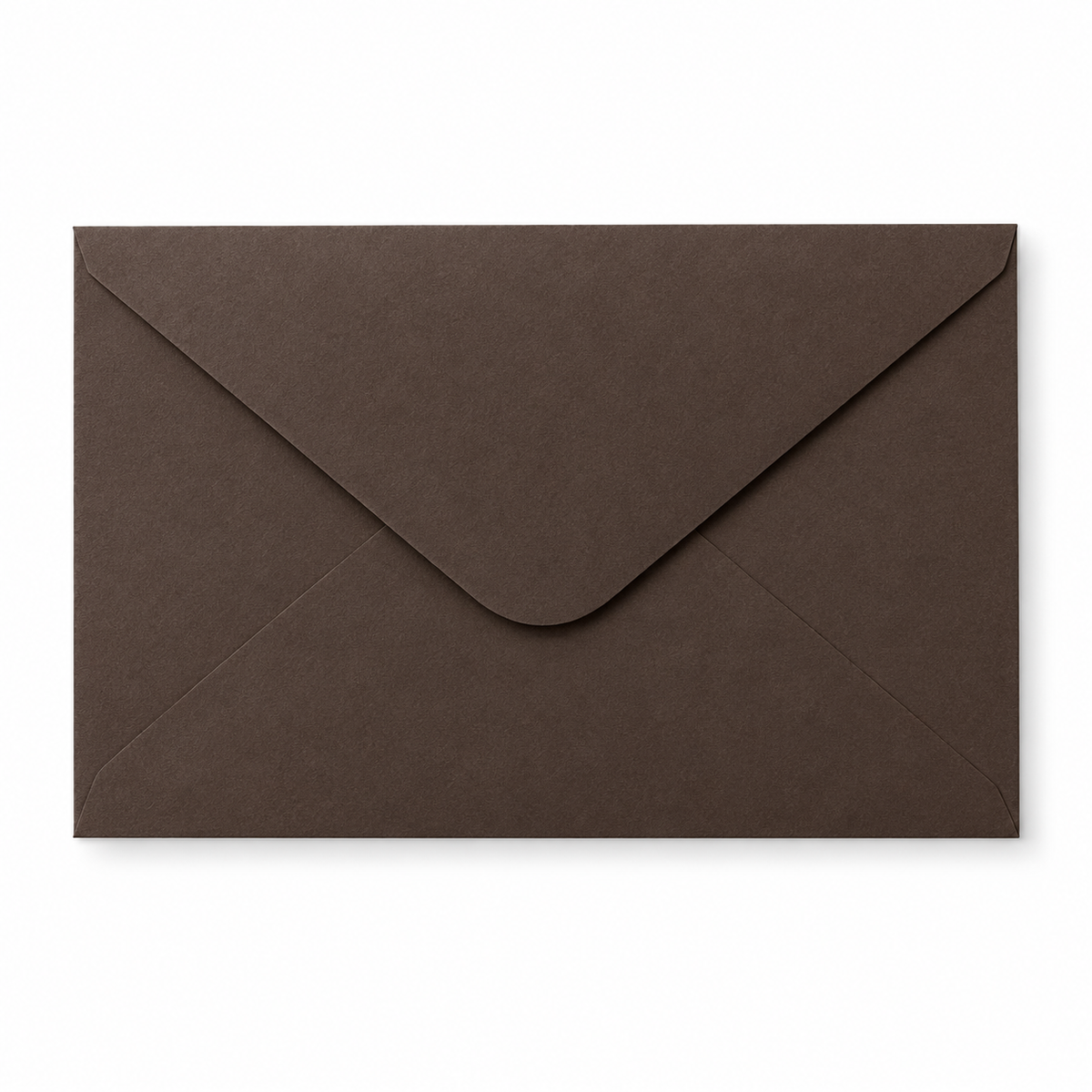 Custom Lined Envelope