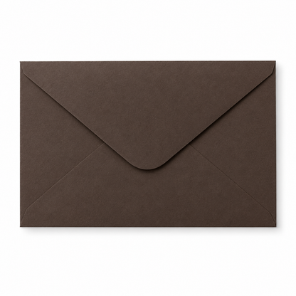 Custom Lined Envelope