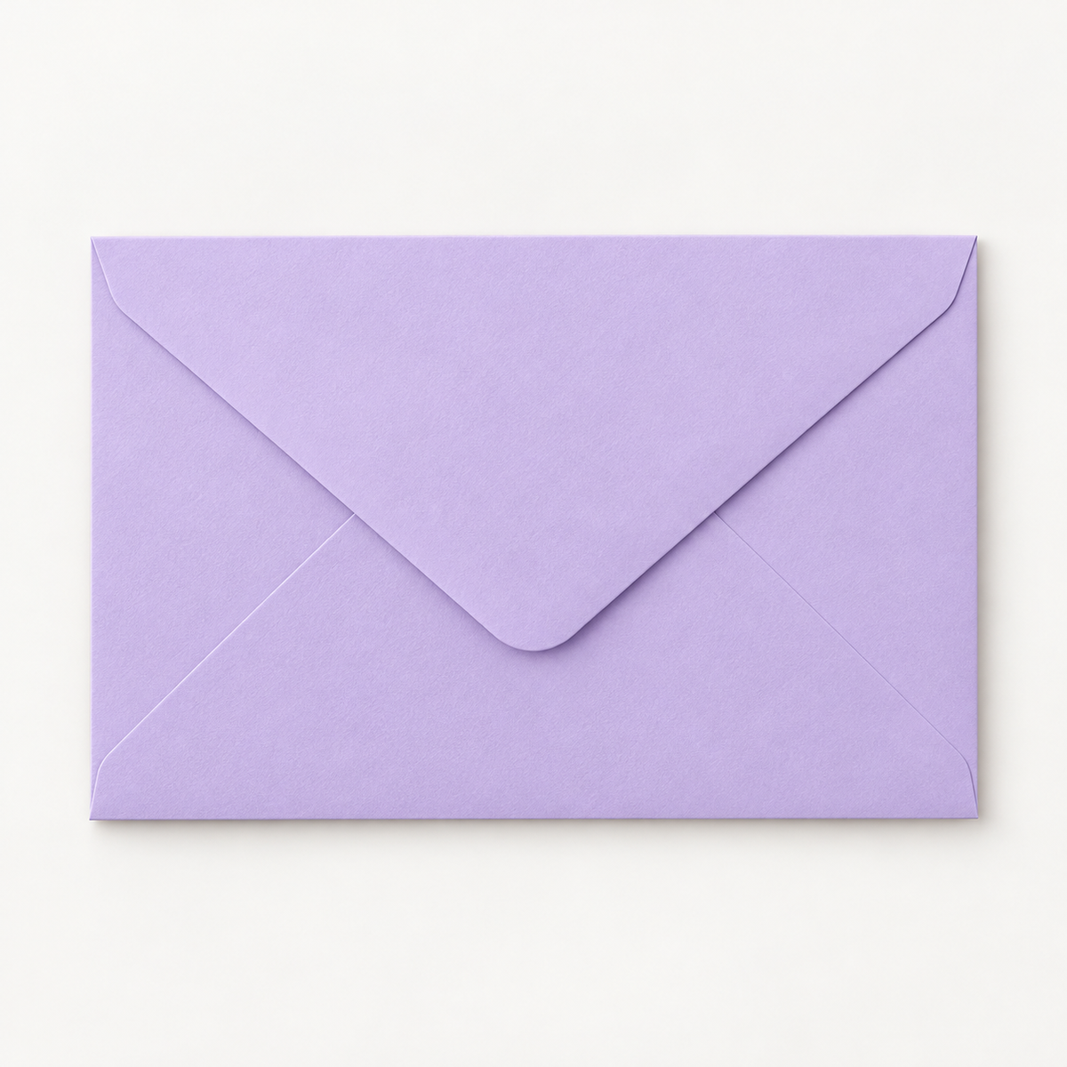 Custom Lined Envelope